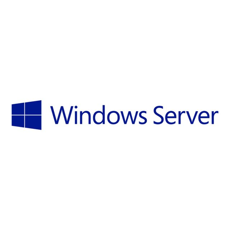 Microsoft Win Server External ConnectorSoftware Assurance Open Value Level D 2Years Acquired Year 2 