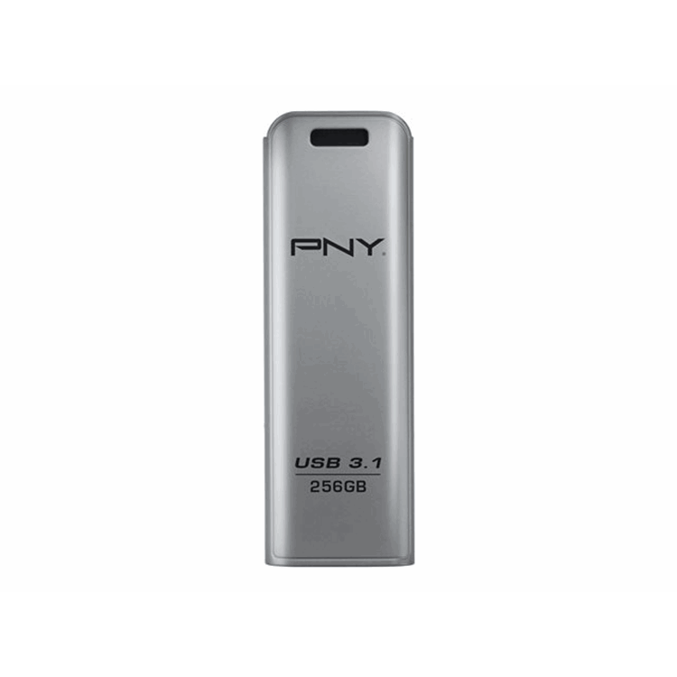 PNY ELITE STEEL 3.1 256GB