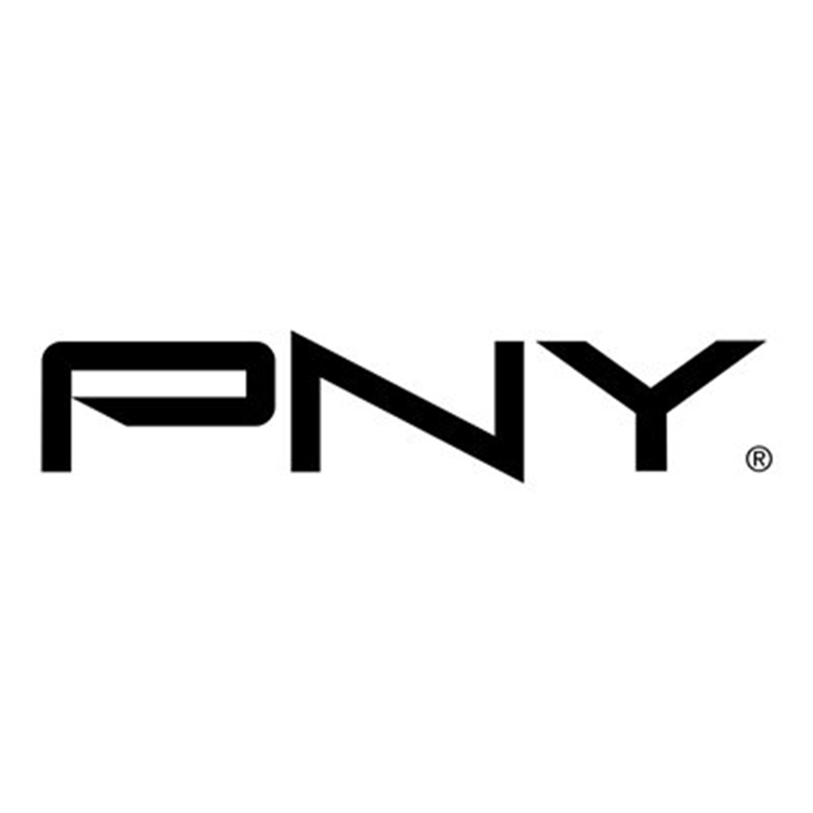 PNY GeForce RTX 4080 16GB VERTO Triple