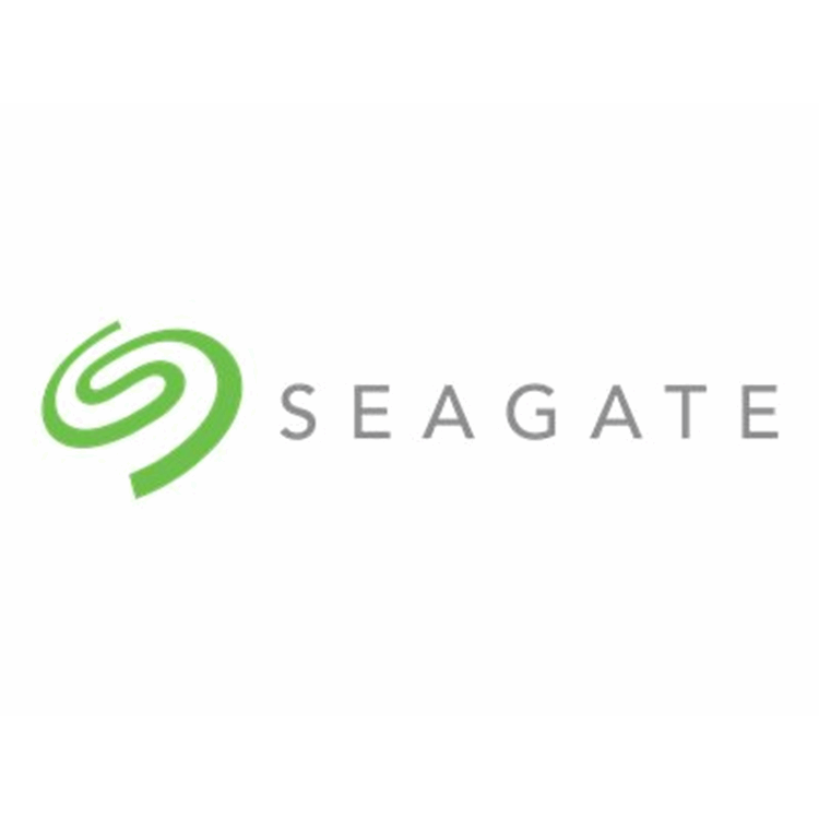 SEAGATE Nytro 3131 SSD 15360GB SAS 2.5in