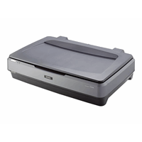 Expression 11000XL/2400dpi USB A3