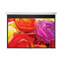 DS-1109PMG+/manual screen 16:10/146x234