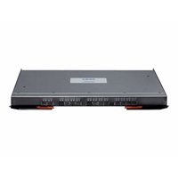 IBM Flex EN4091 10Gb Eth Pass-thru