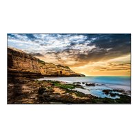 50" Edge LED Entry 3840x2160 16:9 300c