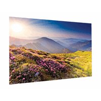 FullVision - HDTV FullVision - HDTV