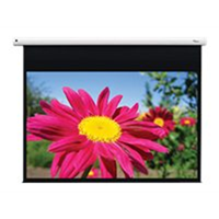 DE-1095EGA/Electr pull down screen 16:10