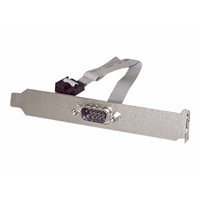 16IN 9 PIN SERIAL TO 10 PIN MOTHERBO