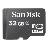 SanDisk microSDHC 32GB Card Only