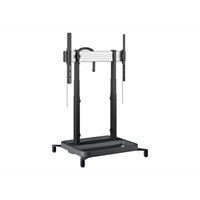 RISE 5108 MOTOR DISPLAY LIFT STD 80 B EU