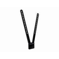 TV Mount for MeetUp