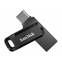 Ultra Dual Drive Go USB Type-C 256GB