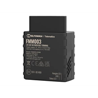 TELTONIKA TELEMATICS FMM03