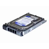 1TB 7.2K 3.5in PE 10/11-Series