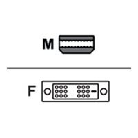 Mini-DisplayPort To Sgl-Link DVI-D Mini-DisplayPort To Sgl-Link DVI-D