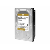 4TB RE 128MB - WD Re Drive