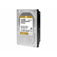 4TB RE 128MB - WD Re Drive