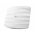 AC1750 Gigabit Ceiling Access Point AC1750 Gigabit Ceiling Access Point