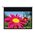 DE-1095EGA/Electr pull down screen 16:10 DE-1095EGA/Electr pull down screen 16:10