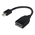 miniDP to DP adapter