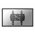 NewStar LCD/LED/Plasma wall mount - fixe